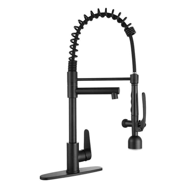 Kitchen Sink Faucet With LED Pull Down Sprayer, Single Handle High Arc Faucet, Dual Spouts, Deck Mount - Matte Black by HouseOfZazla