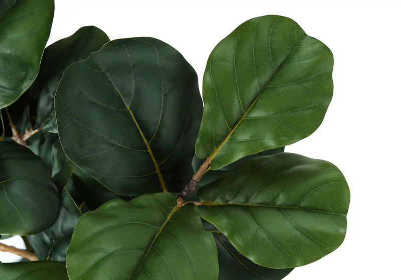 32" Tall, Artificial Plant, Fiddle Tree, Indoor, Faux, Fake, Floor, Greenery, Potted, Real Touch, Decorative - Green / Black by Unique Piece Furniture