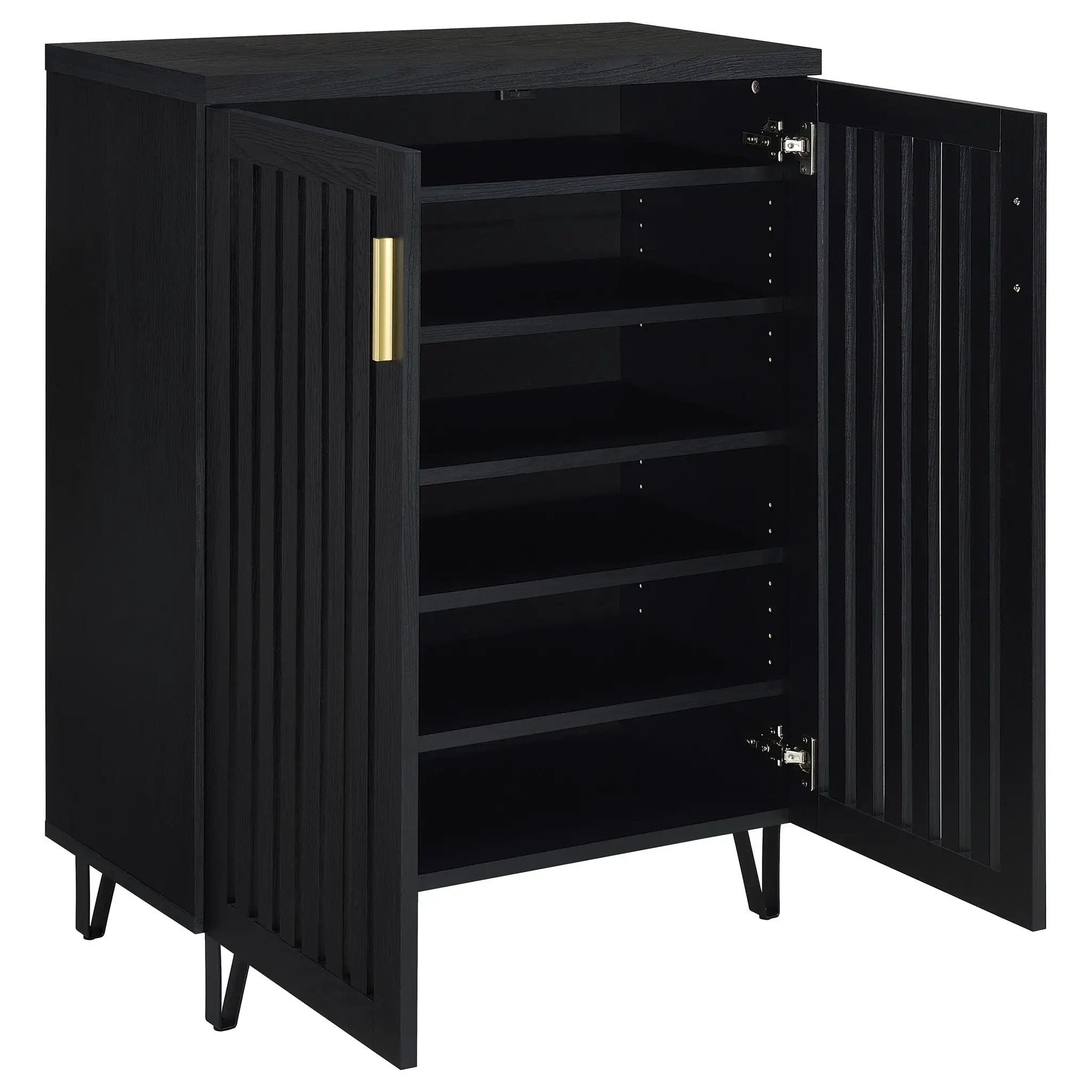 Brixton 2-door Entryway Shoe Storage Cabinets Black by Unique Piece Furniture