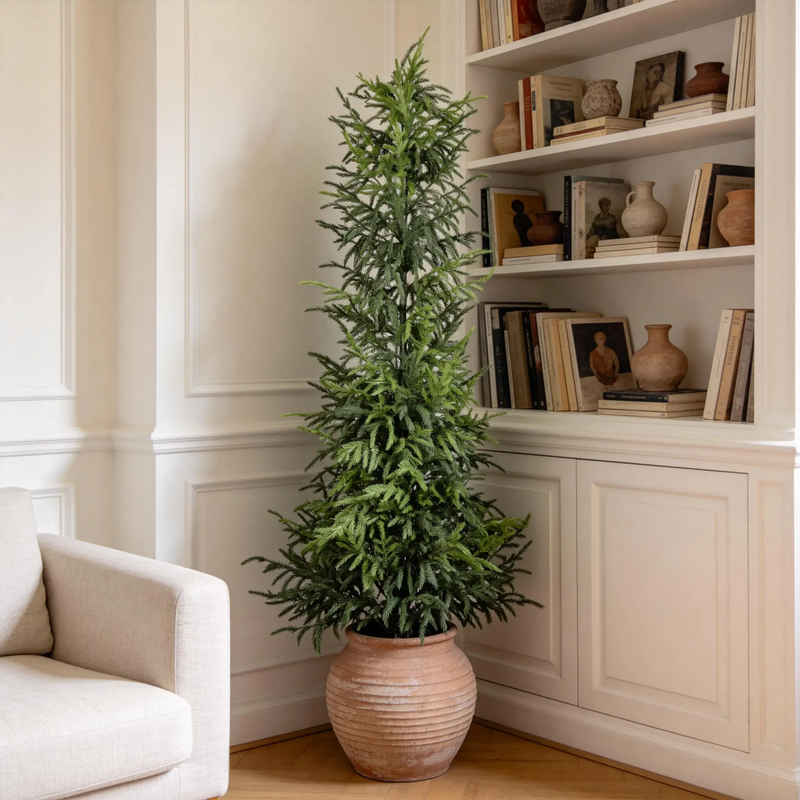 5FT Artificial Real Touch Norfolk Pine Tree - Potted Plants by HouseOfZazla