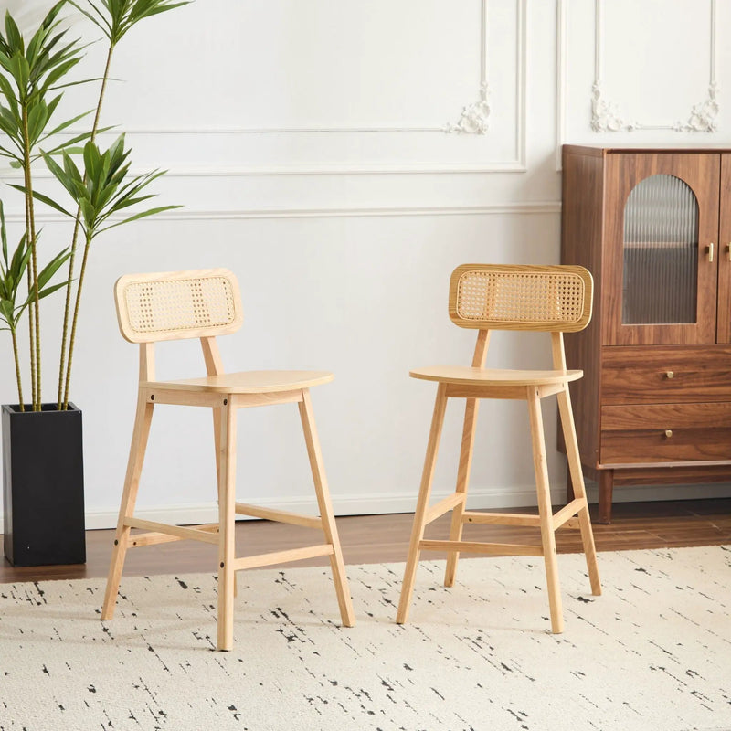 Bari Indoor Wood Barstool (Set of 2) by HouseOfZazla