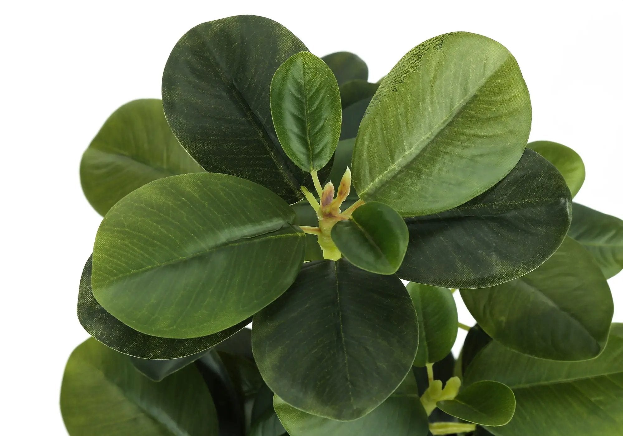 14" Tall, Artificial Plant, Ficus, Indoor, Faux, Fake, Table, Greenery, Potted, Decorative (Set of 2) - Green / Black by Unique Piece Furniture
