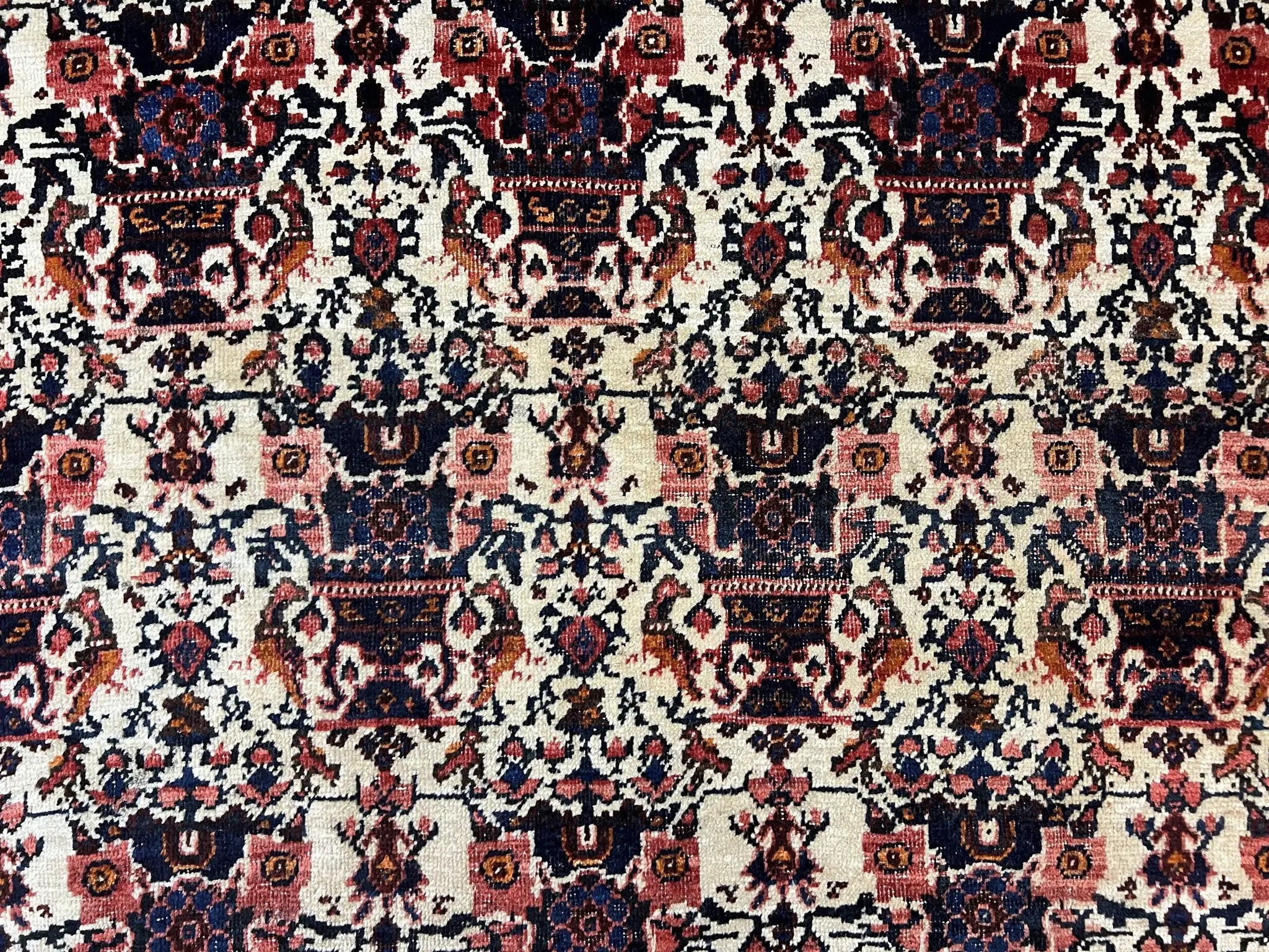 Persian Afshar Rug 6x8, Wool Hand Knotted Semi Antique Vintage Carpet, Floral Allover, Repeated Birds Flowers Vases Motifs by Jewel Rugs