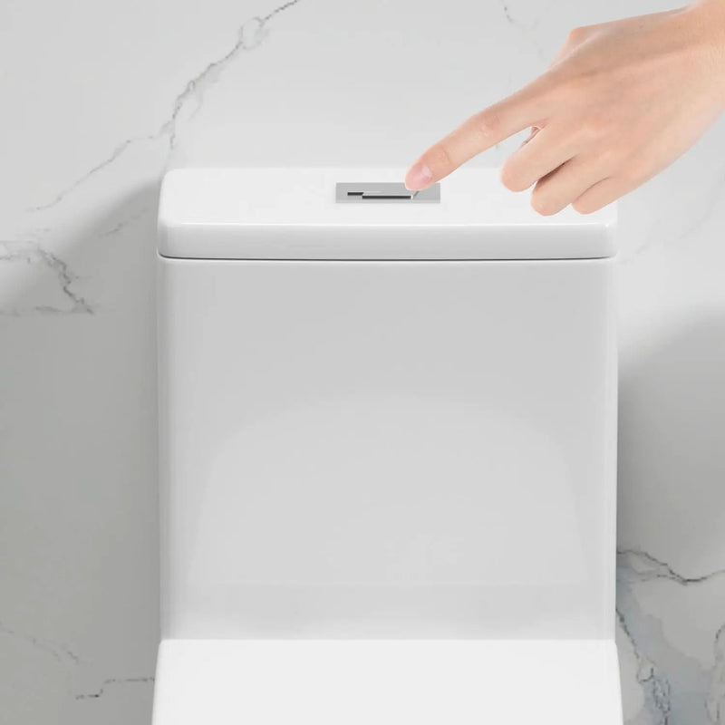 1 Piece Toilet With Dual Flush & Rimless Bowl - Glossy White by HouseOfZazla