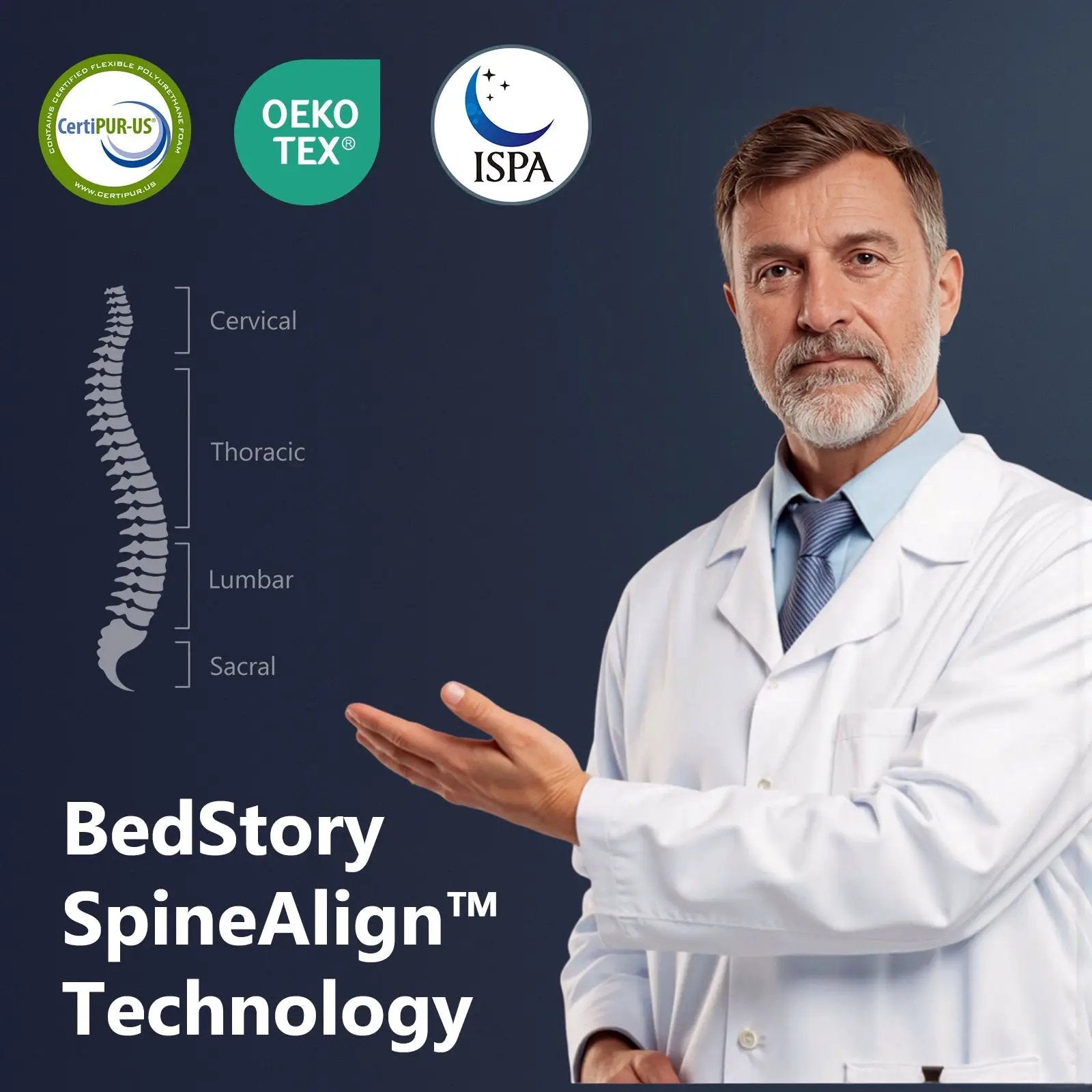 Bedstory Spine Align Pro 13" Twin Firm Cooling Hybrid Mattress by HouseOfZazla