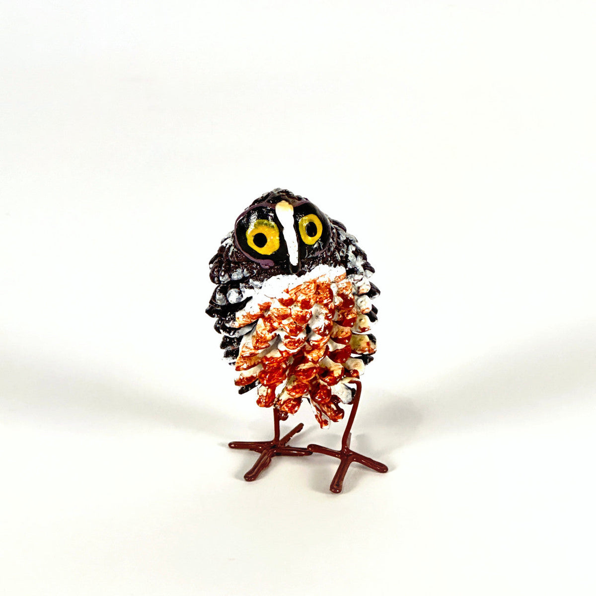 Northern Saw Whet Pinecone Owl