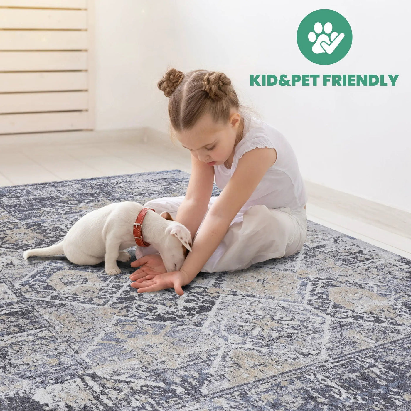 Payas - Traditional Area Rug by Unique Piece Furniture