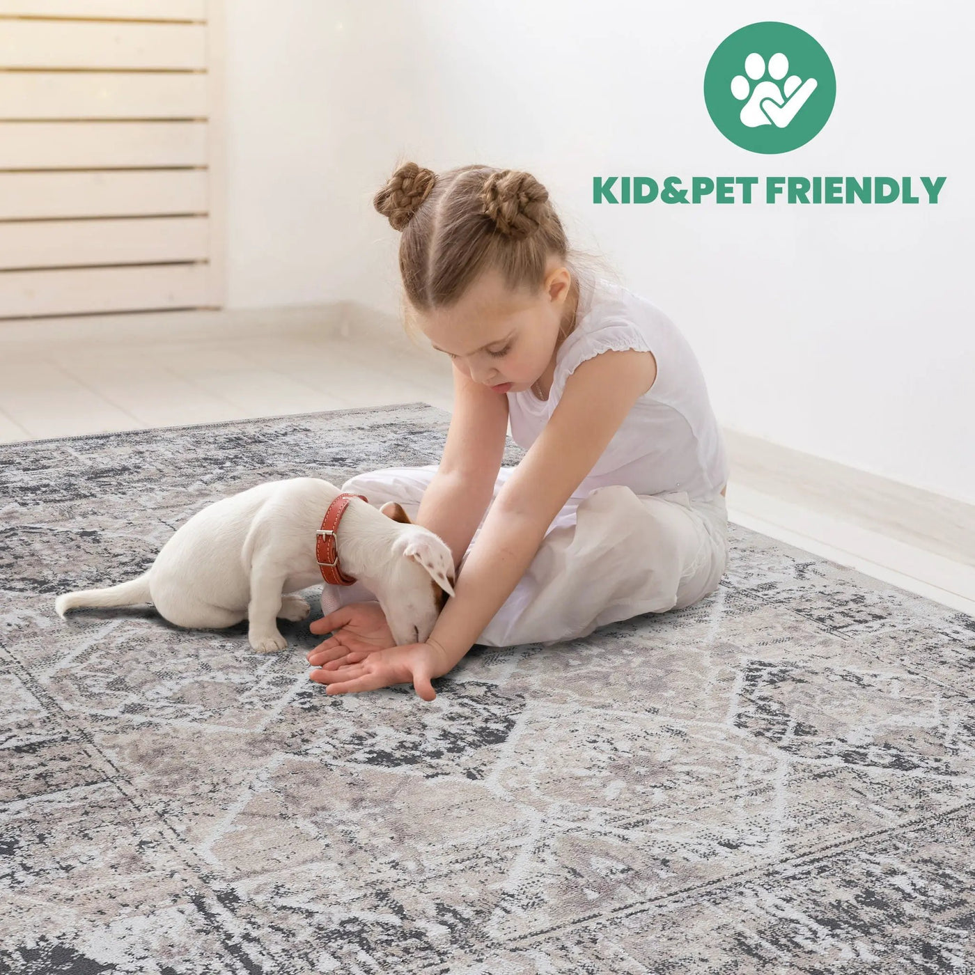 Payas - Traditional Area Rug by Unique Piece Furniture
