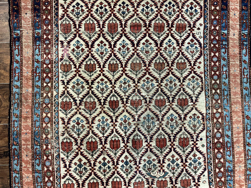 Antique Caucasian Rug 4x6, Hand Knotted Wool Carpet, Shirvan Rug by Jewel Rugs