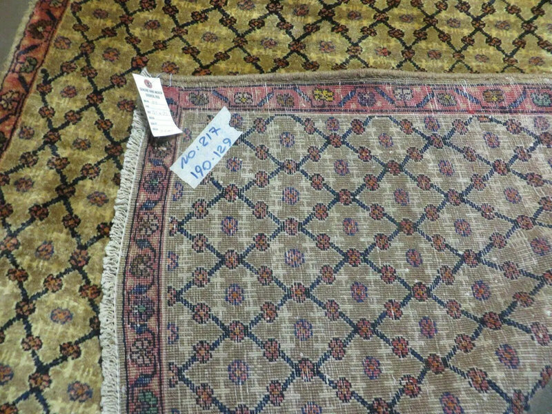 4' X 6' Handmade Indian Allover Wool Rug Camel Hair Color #119 by Jewel Rugs