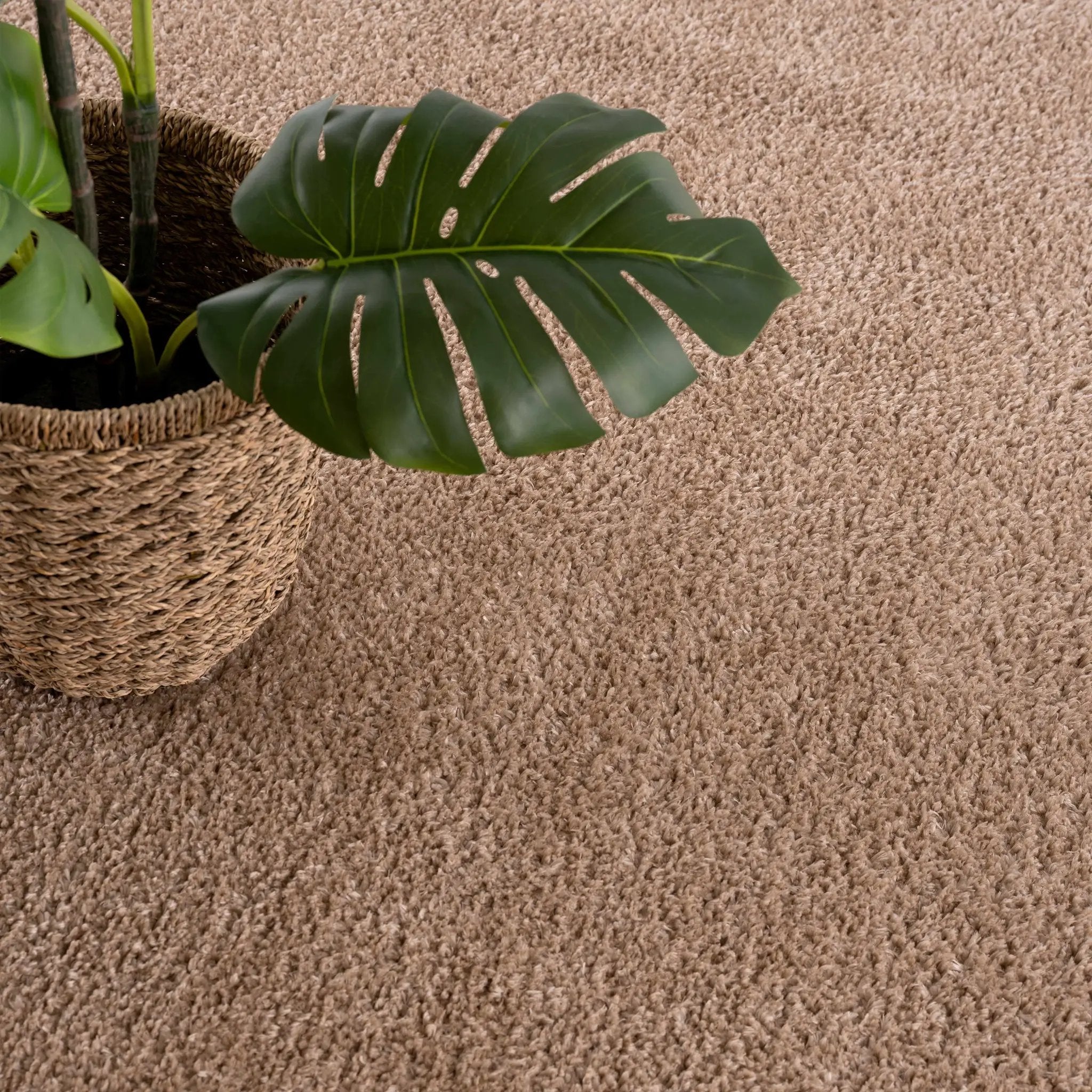 Judy Brown - Promo Washable Area Rug - Clearance by Boutique Rugs