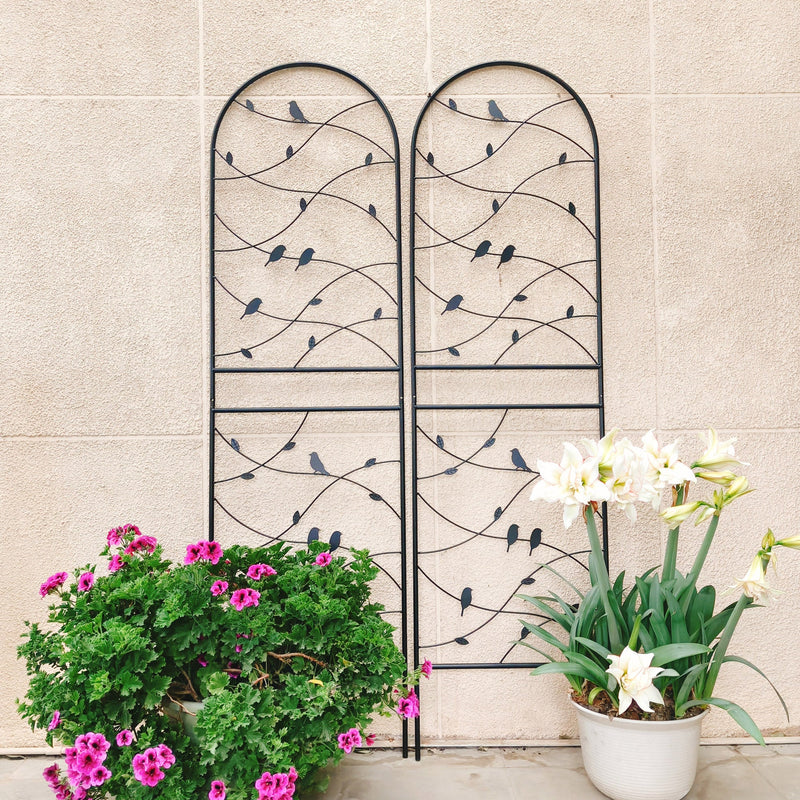 2 Pack Metal Garden Trellis 71" x 19.7" Rustproof Outdoor Plant Support by HouseOfZazla