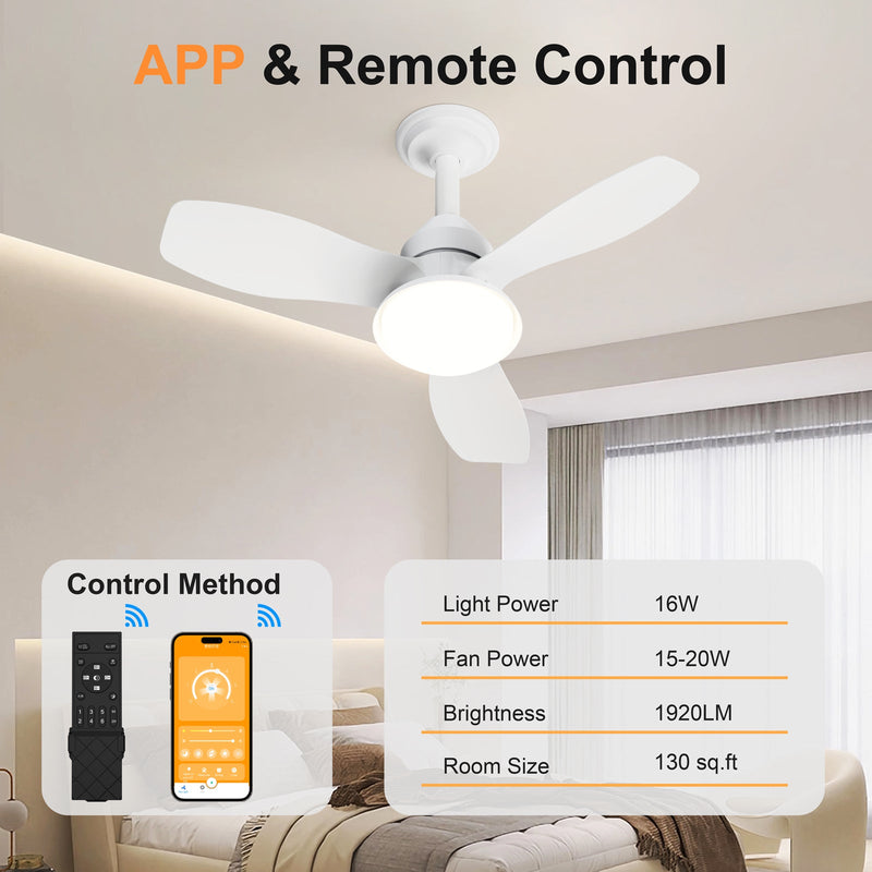 24.4" Modern Ceiling Fan with Light by HouseOfZazla