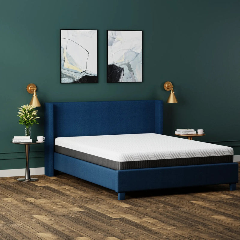 Omne Fria 8 Inch Queen Firm Mattress With Cooling Cover by HouseOfZazla