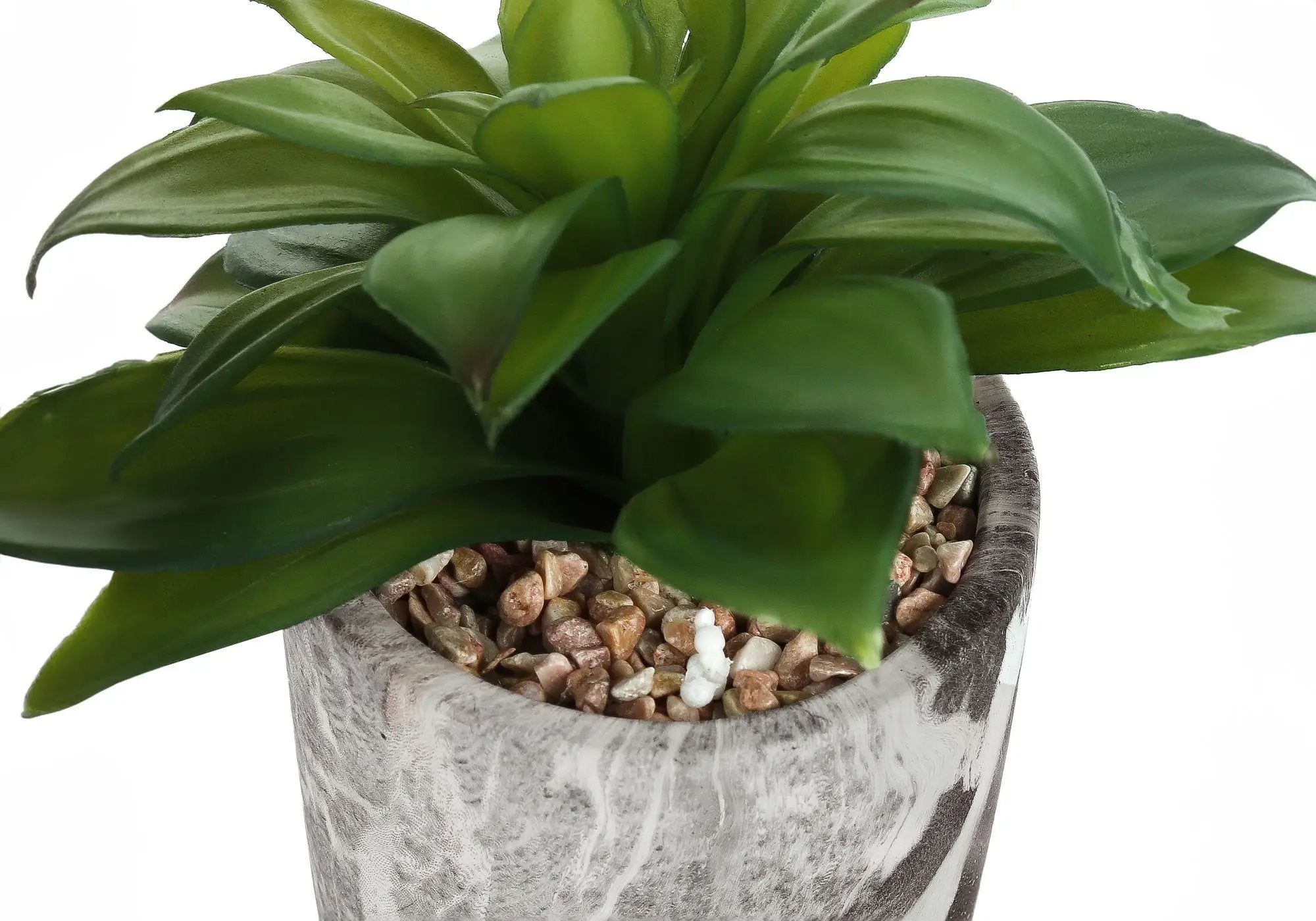 6" Tall, Artificial Plant, Succulent, Indoor, Faux, Fake, Table, Greenery, Potted, Decorative (Set of 2) - Green / Gray by Unique Piece Furniture