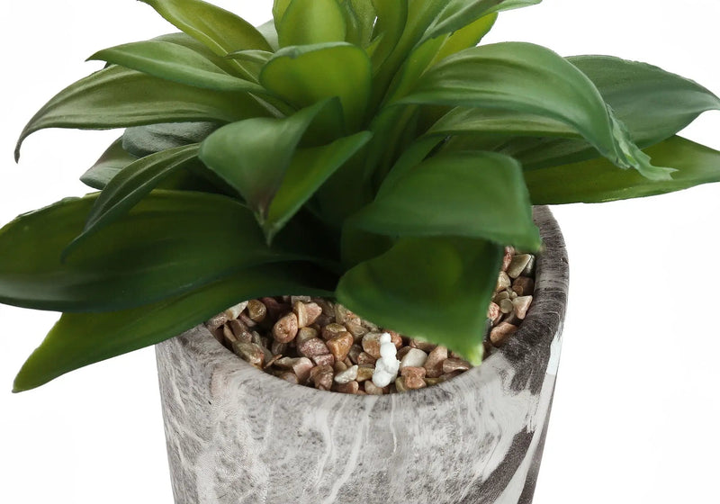 6" Tall, Artificial Plant, Succulent, Indoor, Faux, Fake, Table, Greenery, Potted, Decorative (Set of 2) - Green / Gray by Unique Piece Furniture