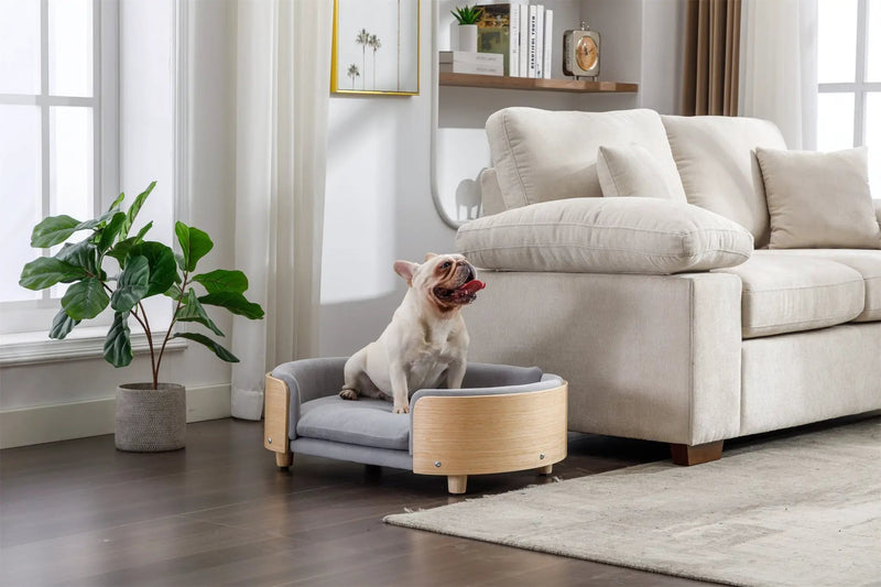 Scandinavian Style Elevated Dog Bed Pet Sofa Velvet Cushion Mid Size Light Grey by HouseOfZazla