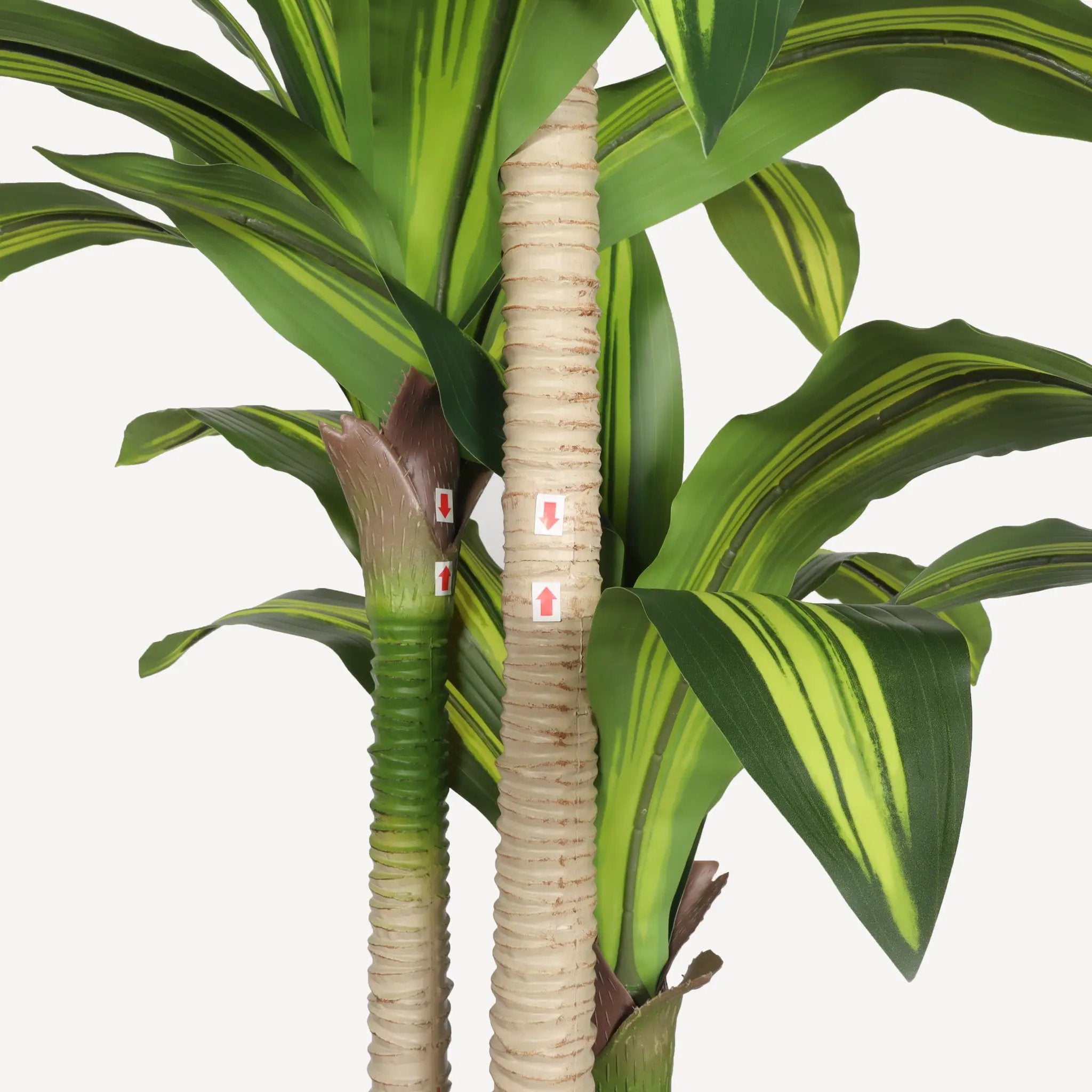 5' Artificial Dracaena Tree by HouseOfZazla