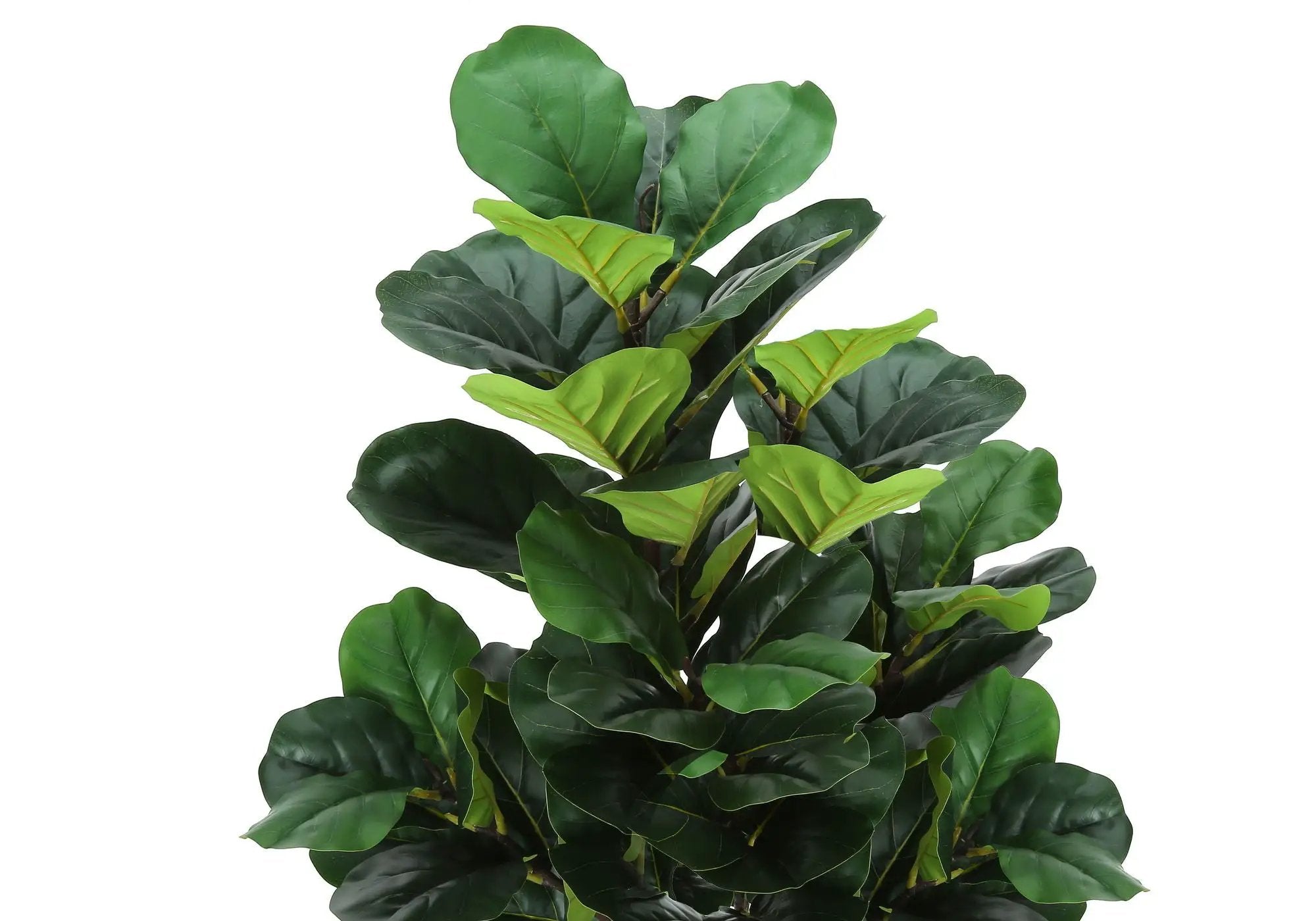 47" Tall, Artificial Plant, Fiddle Tree, Indoor, Fake, Floor, Greenery, Potted, Real Touch, Decorative - Green / Black by Unique Piece Furniture