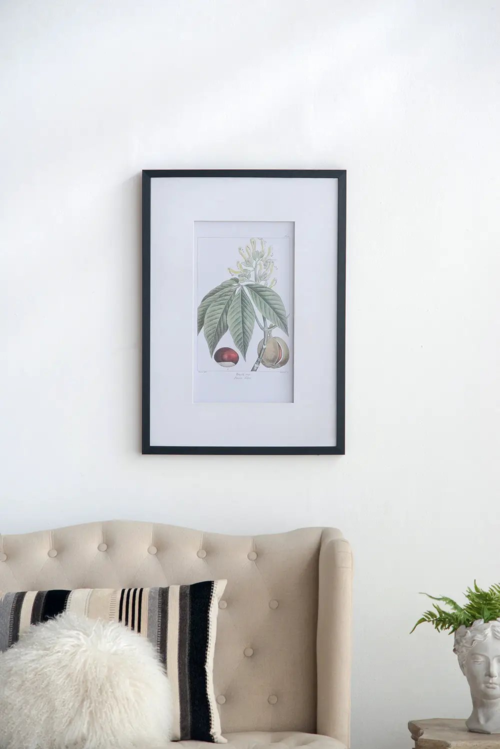 19.7x27.6 Botanical Wall Arts, Set of 2 by HouseOfZazla