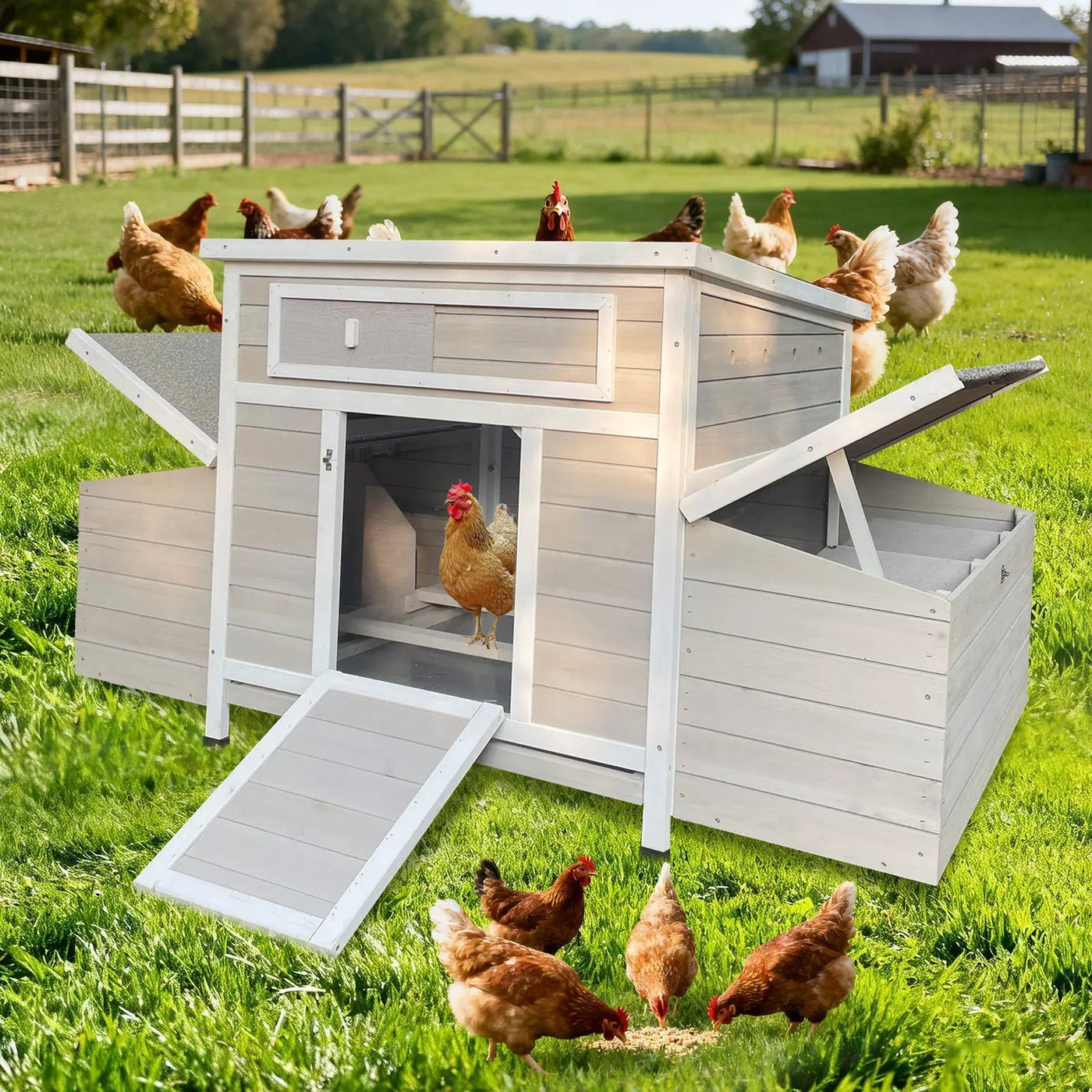Large Wooden Chicken Coop Outdoor Hen House with Nesting Boxes by HouseOfZazla