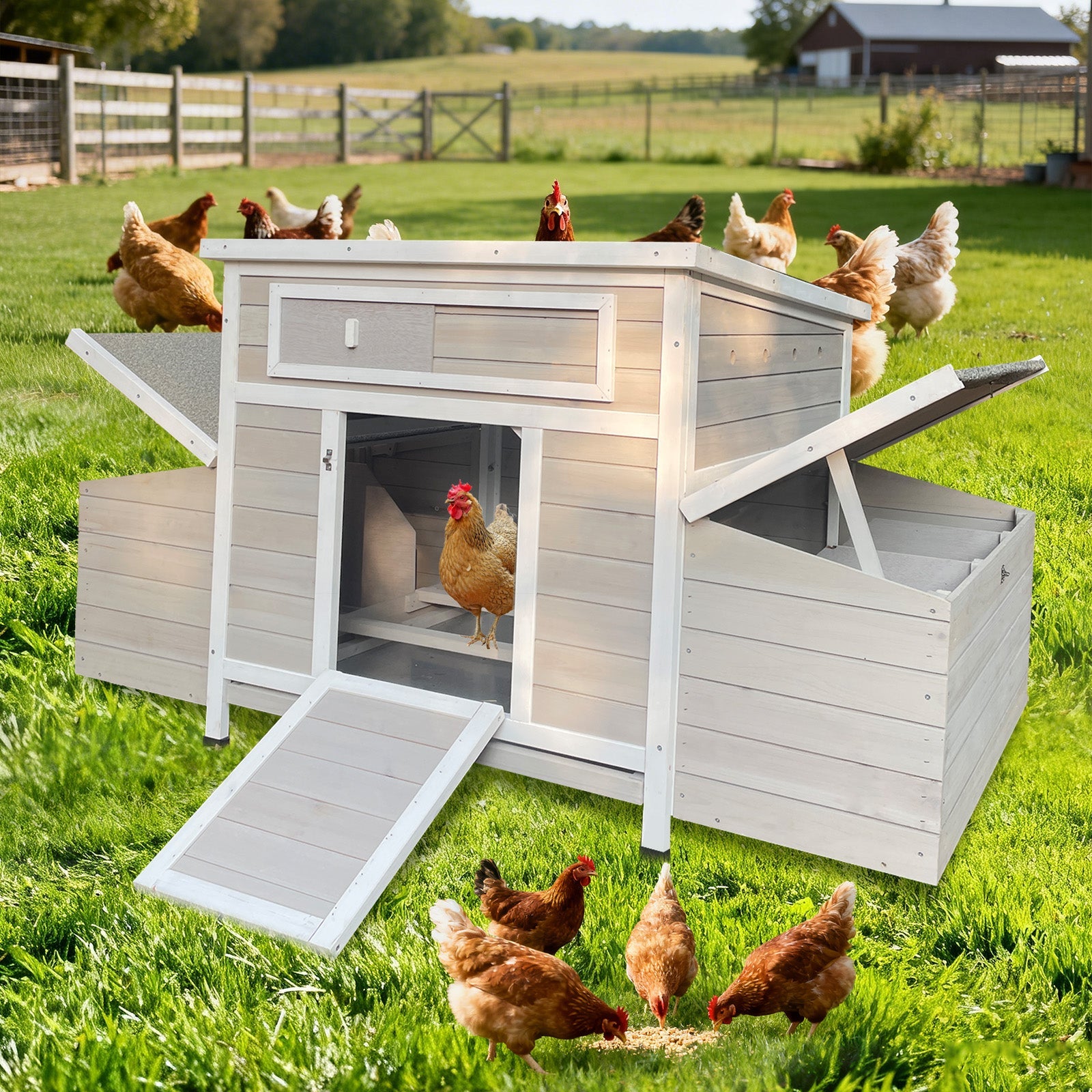 Large Wooden Chicken Coop Outdoor Hen House with Nesting Boxes by HouseOfZazla