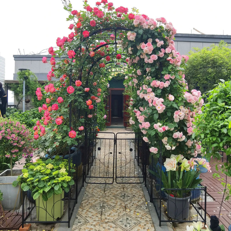 Metal Garden Arch with Two Plant Stands by HouseOfZazla