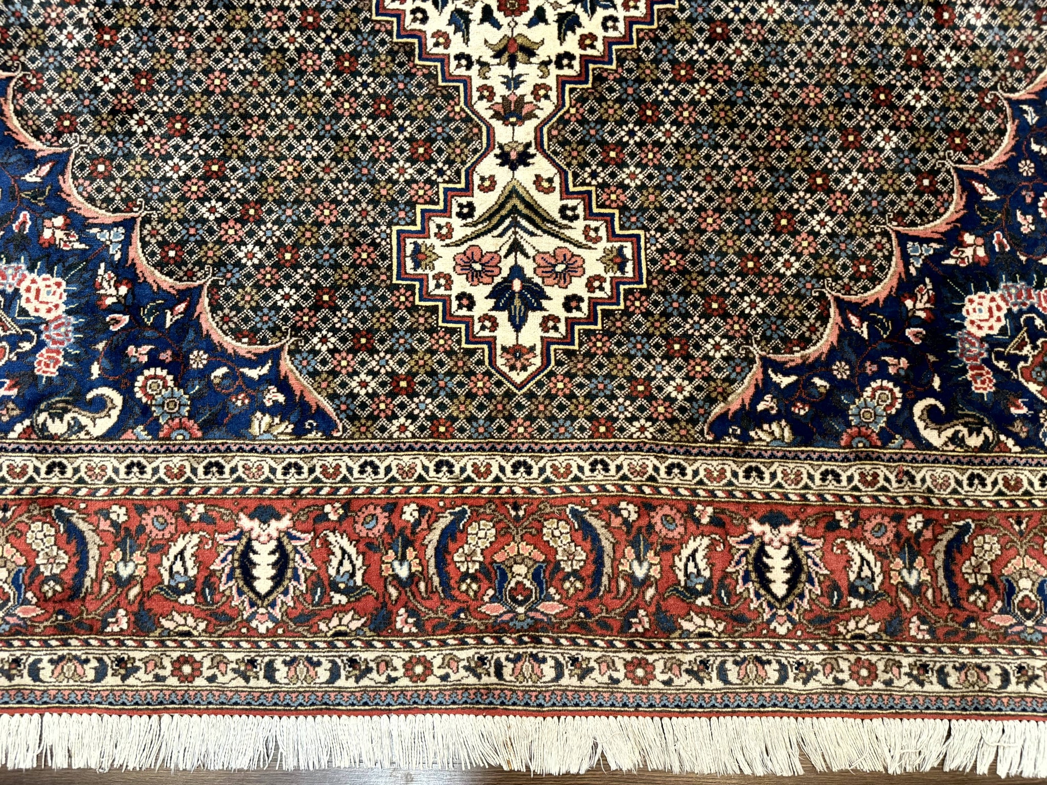 Persian Rug 7x10, Bakhtiari Saman Rug, Unique Design and Colors, Ivory Red Blue, Large Tribal Rug by Jewel Rugs