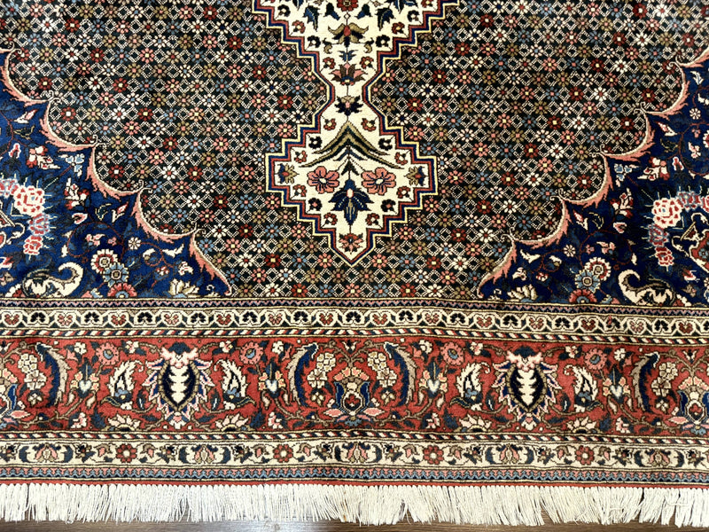 Persian Rug 7x10, Bakhtiari Saman Rug, Unique Design and Colors, Ivory Red Blue, Large Tribal Rug by Jewel Rugs