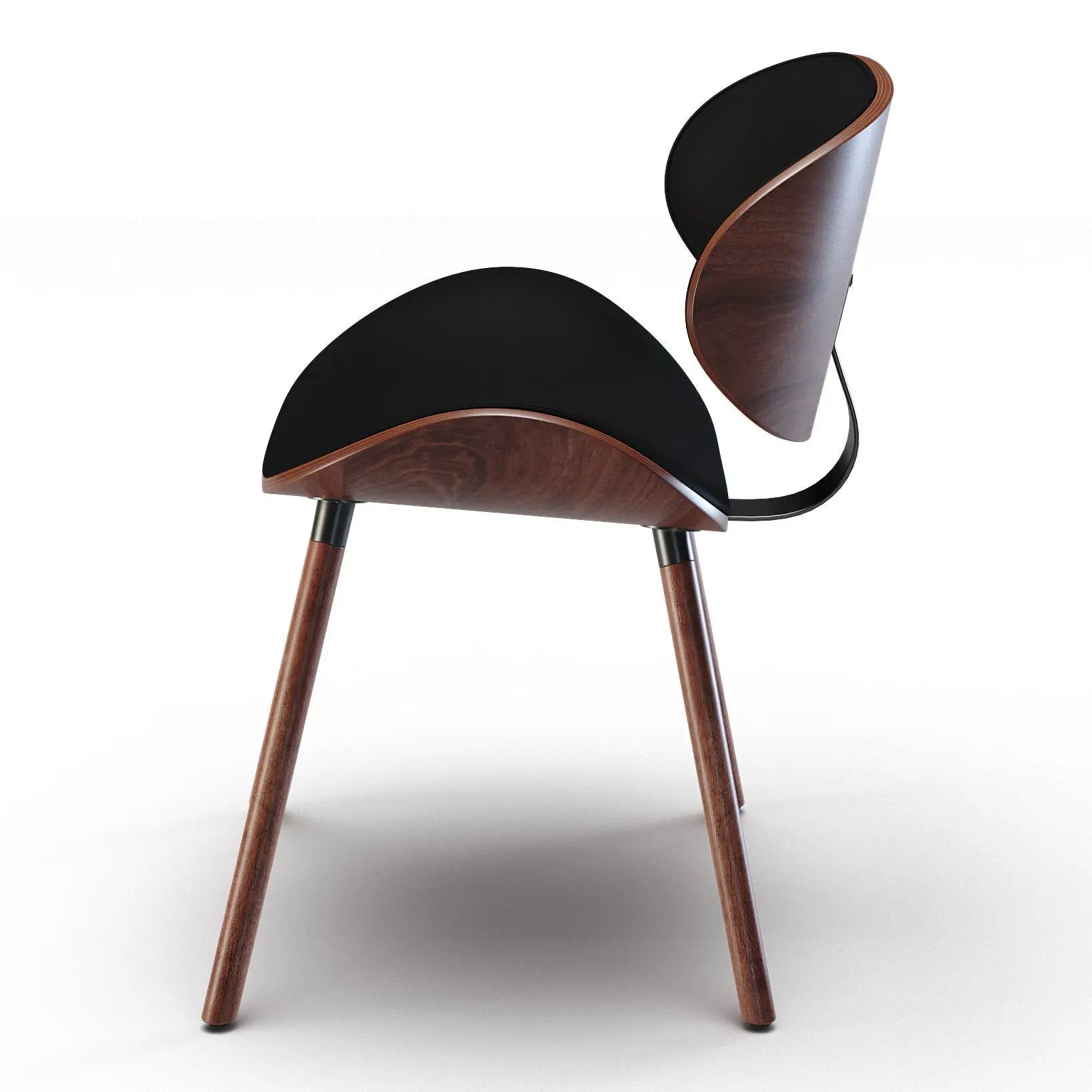 Marana - Mid Century Modern Dining Chair by HouseOfZazla