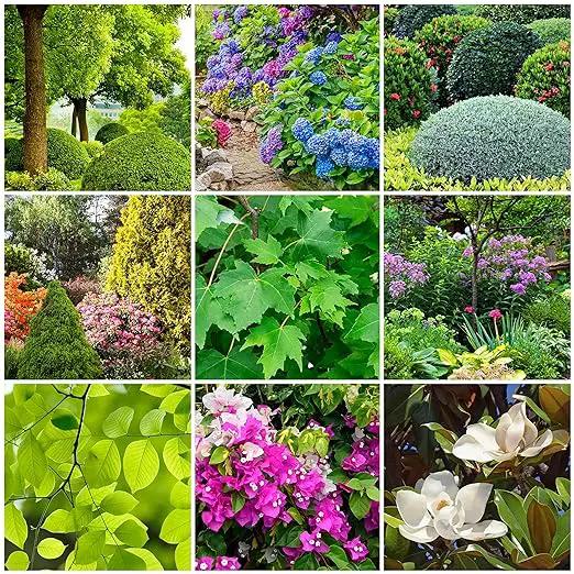 The Old Farmer's Almanac Tree & Shrub Fertilizer Spikes (Box of 12 Spikes - 3 Lbs) by GreenHaven Gardens