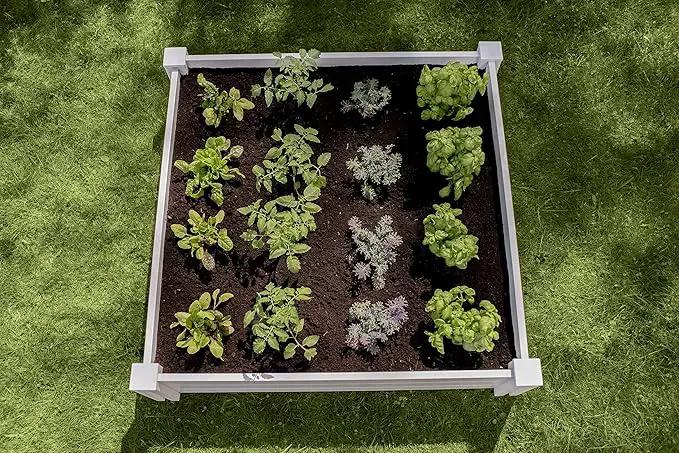 Vita Classic 4 Foot x 4 Foot x 11 inch White Vinyl Raised Modular Garden Bed, White, PVC, BPA and Pthalate Free, VT17108 by GreenHaven Gardens