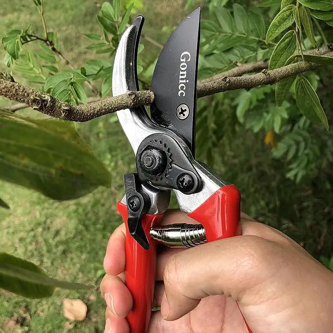 gonicc 8" Professional Sharp Bypass Pruning Shears (GPPS-1002), Tree Trimmers Secateurs,Hand Pruner, Garden Shears,Clippers For The Garden, Bonsai Scissors, Loppers by GreenHaven Gardens