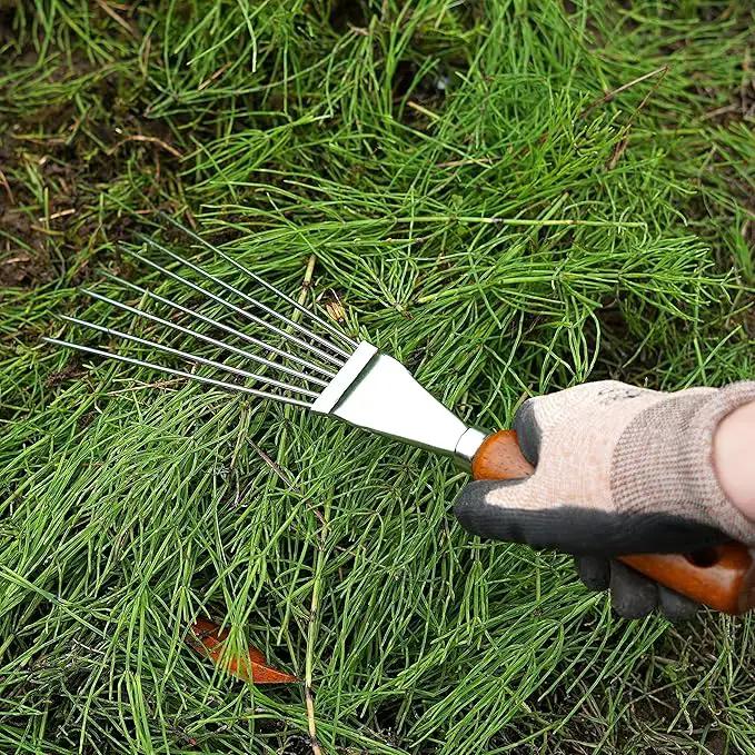 Japanese Hand Rake Garden Tool, Japanese Steel with Wood Handle, Small Rake for Leaves, Handheld Garden Cleaning Tool, Made in Japan, Silver by GreenHaven Gardens