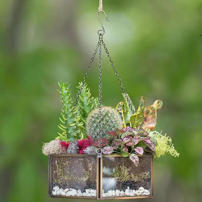 Deco Glass Geometric DIY Terrarium, Succulent & Air Plant- Hanging Mini Hexagon Shaped for Indoor Gardening Decor- Create Your own Flower, Fern, Moss Centerpiece- Amazing Holiday and Wedding Gift by GreenHaven Gardens