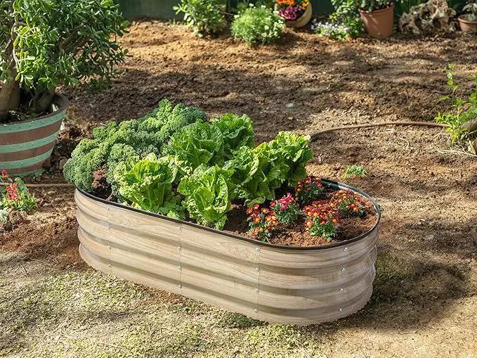 Galvanized Raised Garden Beds Outdoor // 4×2×1 ft Planter Raised Beds for Gardening, Vegetables, Flowers // Large Metal Garden Box (Natural Wood Grain) by GreenHaven Gardens