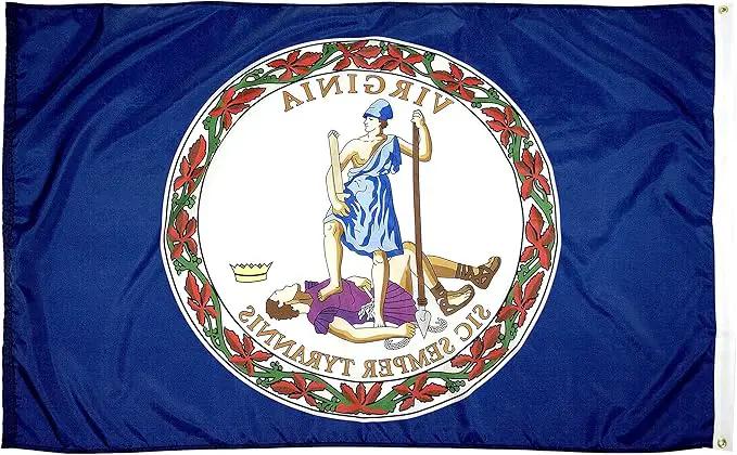 FlagSource Virginia Nylon State Flag, Made in USA, 4x6' by GreenHaven Gardens