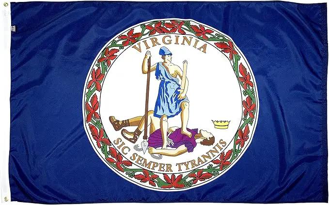 FlagSource Virginia Nylon State Flag, Made in USA, 4x6' by GreenHaven Gardens