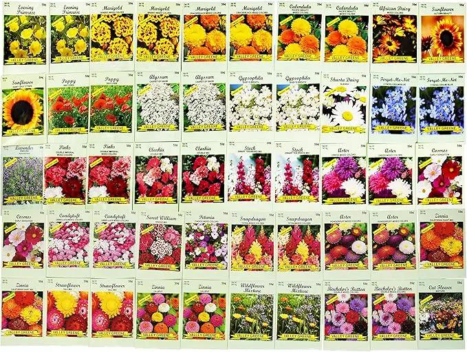 Set of 50 Assorted Flower Seed Packets! Flower Seeds in Bulk - 10+ Varieties Available! by GreenHaven Gardens