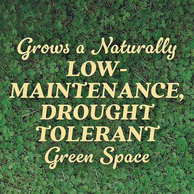 O.M. Scott and Sons Clover Seed, Lawn Seed Grows a Naturally Low Maintenance, Drought-Tolerant Lawn, 1,000 sq. ft., 2 lb., 2-Pack by GreenHaven Gardens