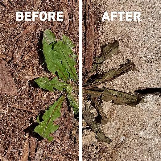 Spruce Weed Killer Refill - Versatile Weed & Grass Killer₂ for Flower Beds, Driveways & Mulch Beds - No Pour, No Mix, No Mess Refill - Kills Dandelions, Crabgrass & More (64 Oz) by GreenHaven Gardens