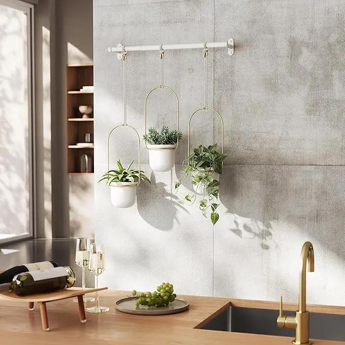 Umbra Triflora Hanging Planter for Window, Indoor Herb Garden, Set of 3, White/Brass by GreenHaven Gardens