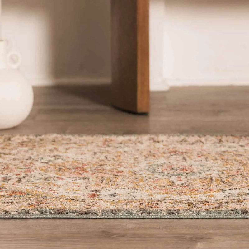 Hauteloom Peeta Rug - Clearance by Boutique Rugs