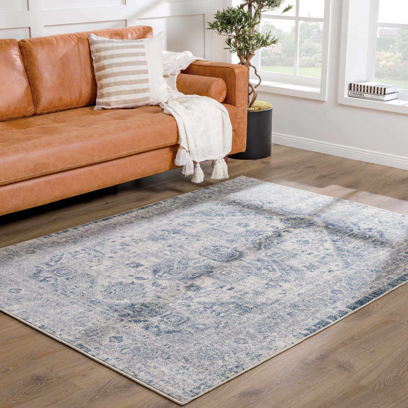 Peeta Gray Blue Medallion Area Rug by Hauteloom
