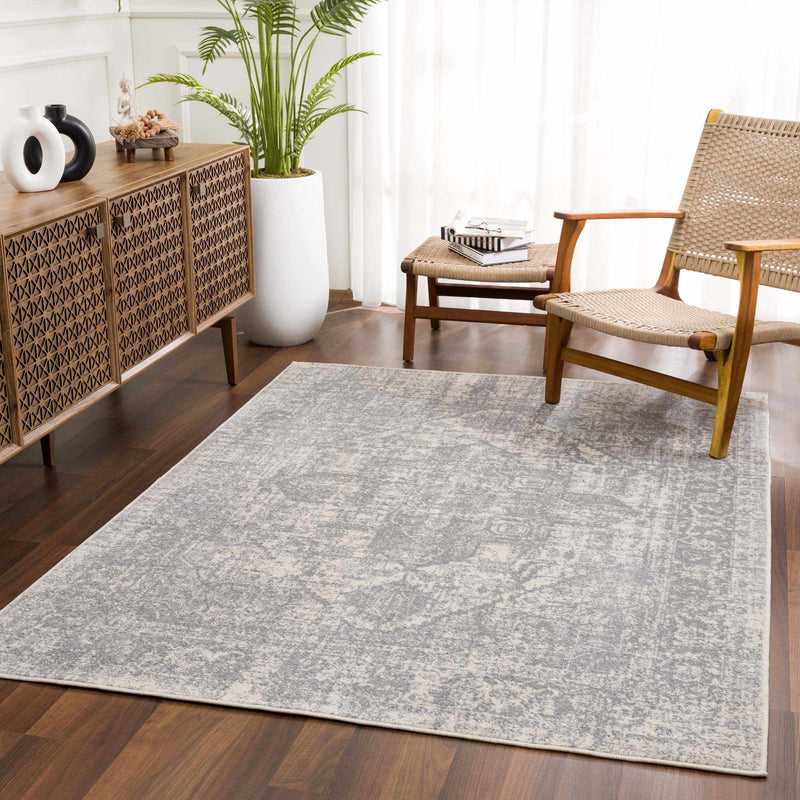 Peeta Gray Medallion Area Rug - Clearance by Boutique Rugs