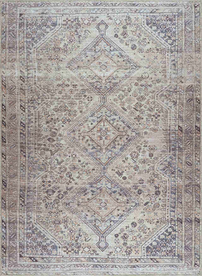Barny Tan Washable Area Rug by Boutique Rugs