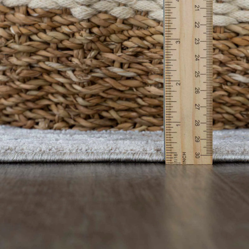 Albuquerque Area Rug by Hauteloom