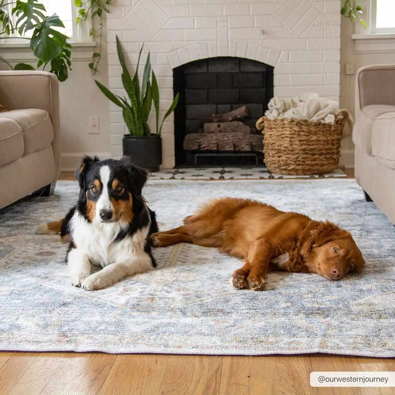Afya Boutique Washable Rug by Boutique Rugs