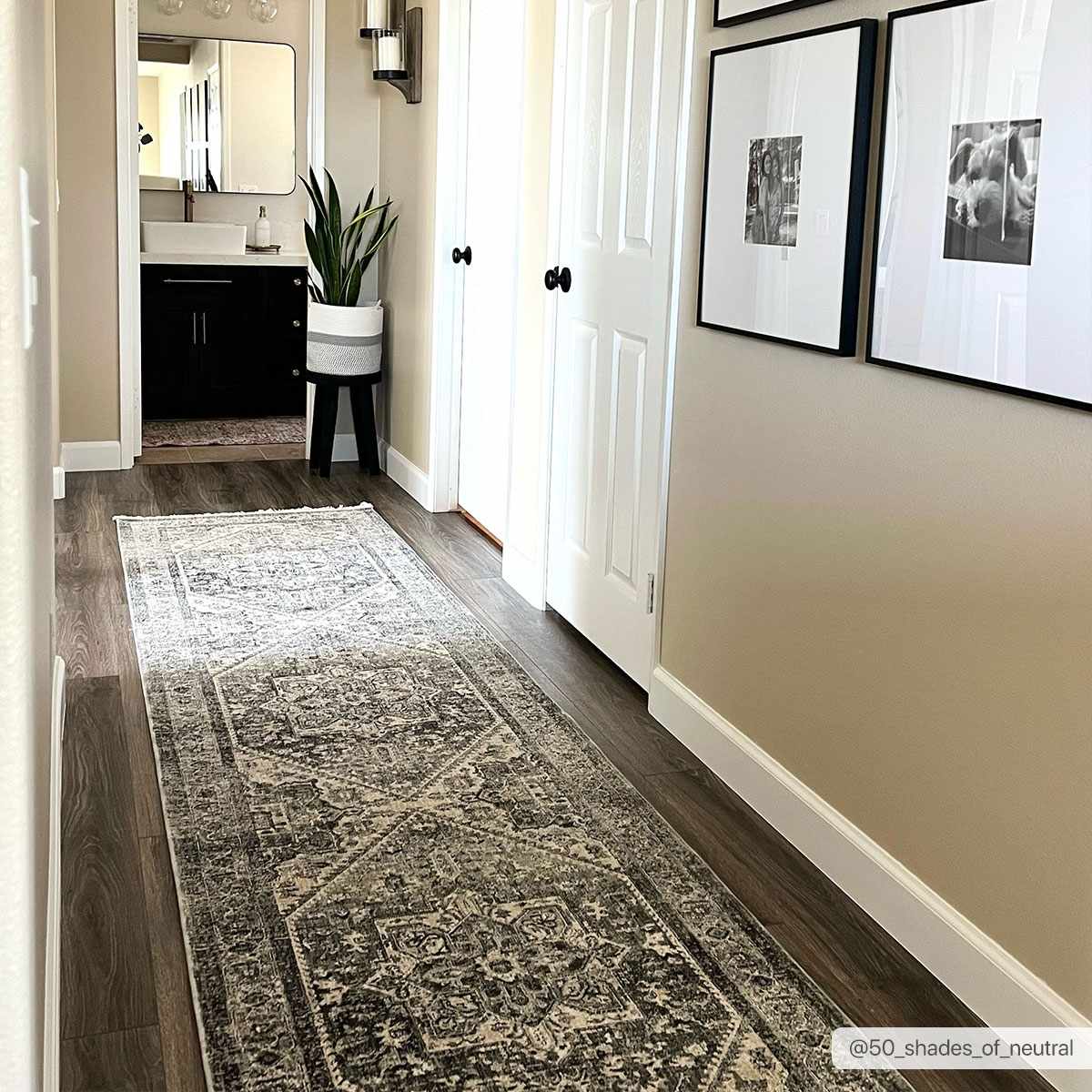 Ailsa Area Rug - Clearance, photo 3 of 14