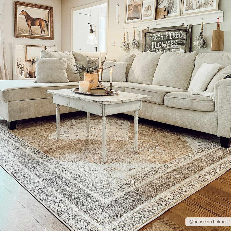 Albas Washable Area Rug by Hauteloom